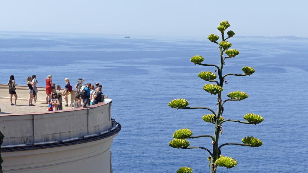 Chambre Chez L'Habitant Nice Baie Des Anges Exterior foto